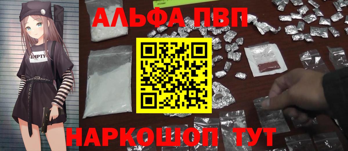A PVP СК КРИС Новозыбков