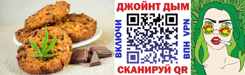 omg tor  купить наркотики цена  Новозыбков  Cannafood марихуана 