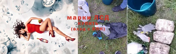 ПСИЛОЦИБИНОВЫЕ ГРИБЫ Майский