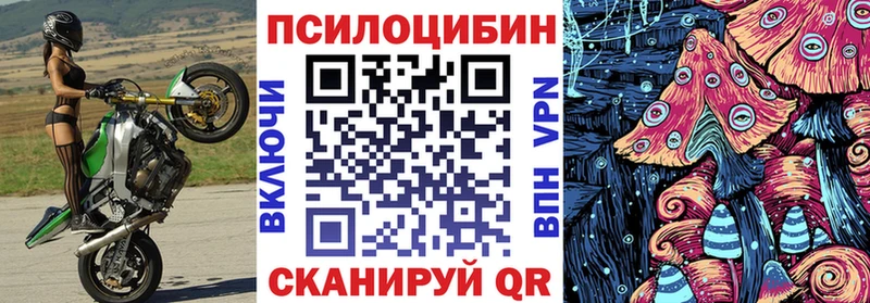 blacksprut ссылка  Новозыбков  Псилоцибиновые грибы Psilocybe 