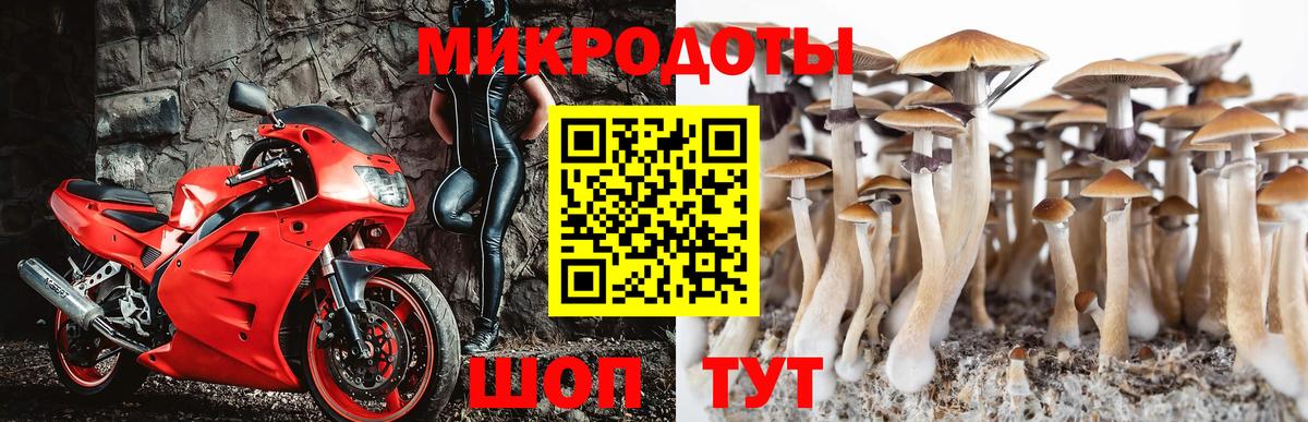 Галлюциногенные грибы MAGIC MUSHROOMS Новозыбков