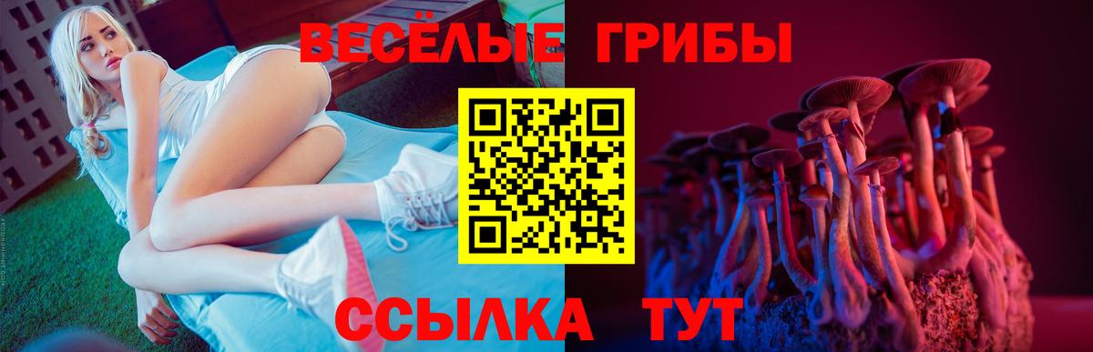 где купить наркоту  Вход с VPN  Галлюциногенные грибы прущие грибы  Новозыбков  Галлюциногенные грибы Cubensis 