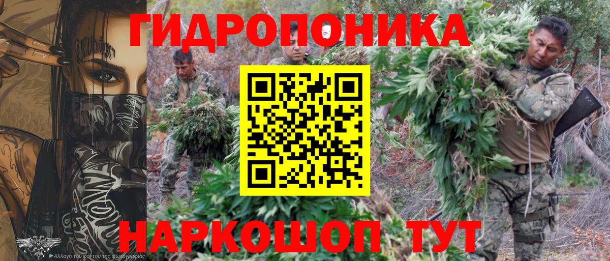 Бошки марихуана THC 21% Новозыбков
