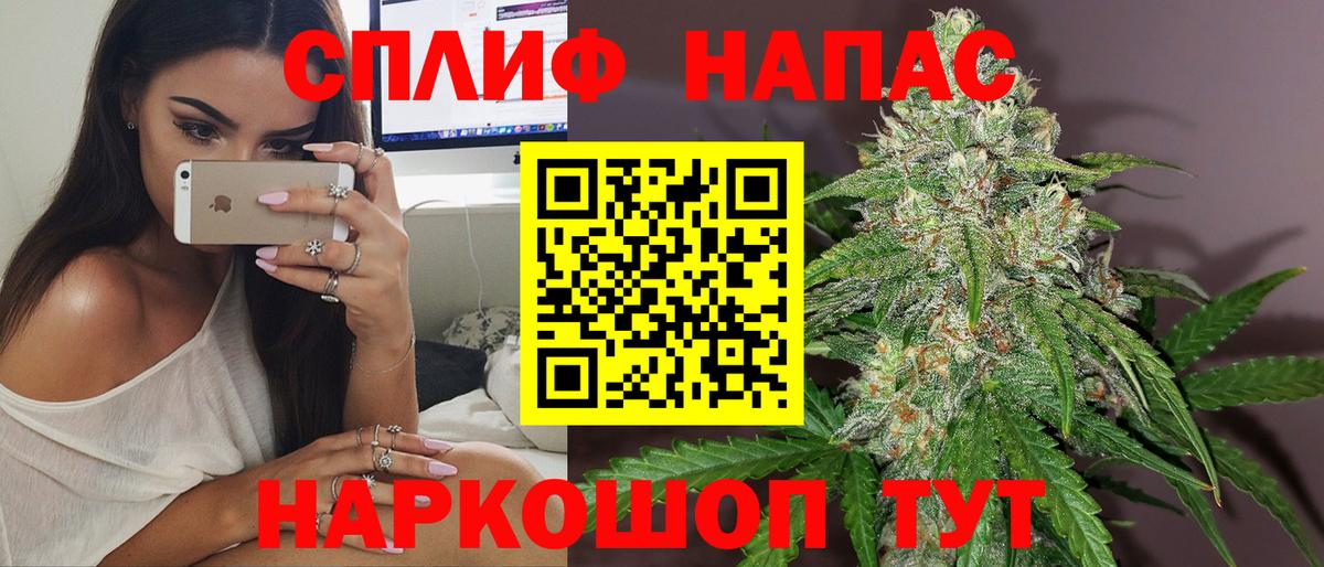 Бошки Шишки ГИДРОПОН  Конопля сатива  Вход с VPN  Новозыбков 